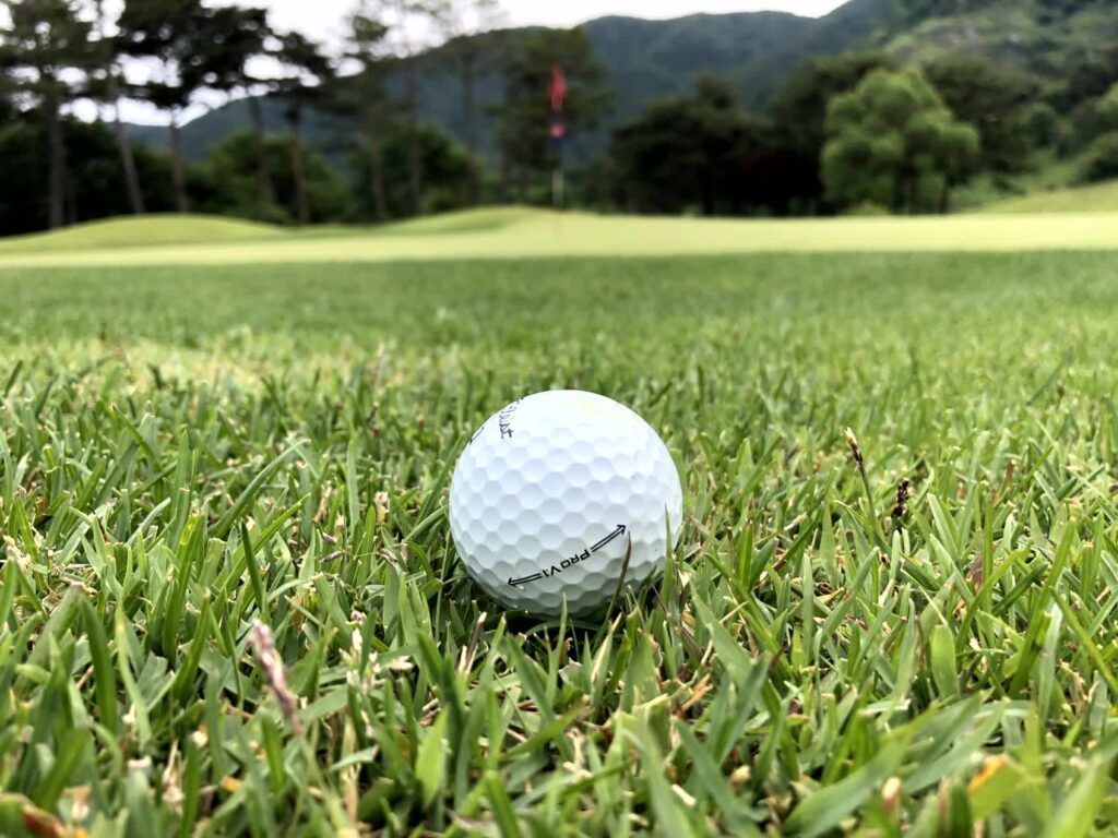 스텔라코스 (9홀) 코스사진 - 후반 (5)