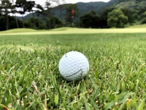 스텔라코스 (9홀) 코스사진 - 후반 (5)